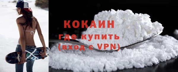 ГАЛЛЮЦИНОГЕННЫЕ ГРИБЫ Осинники