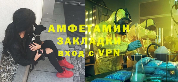 ГАЛЛЮЦИНОГЕННЫЕ ГРИБЫ Осинники