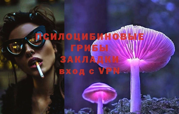 ГАЛЛЮЦИНОГЕННЫЕ ГРИБЫ Осинники