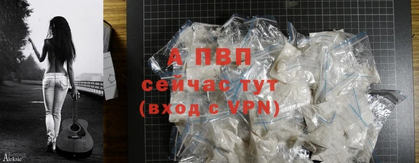 ГАЛЛЮЦИНОГЕННЫЕ ГРИБЫ Осинники