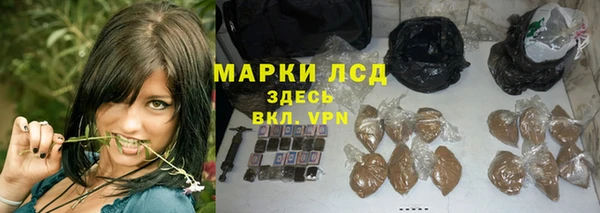 ГАЛЛЮЦИНОГЕННЫЕ ГРИБЫ Осинники