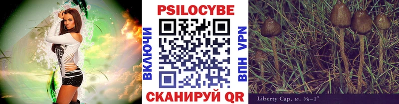 мориарти формула  Пучеж  Псилоцибиновые грибы мухоморы  продажа наркотиков 