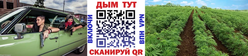 Шишки марихуана AK-47  закладки  Пучеж 